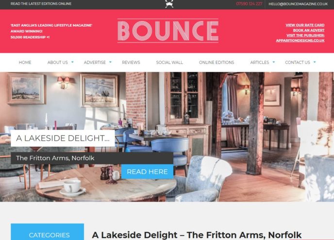 Bounce article Nov 2018
